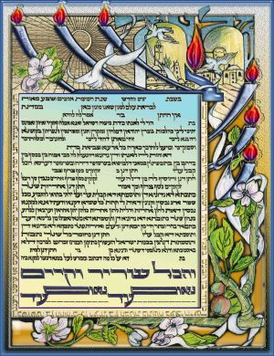 Ketubah 11 life cycle - ����� 11 ���� �����