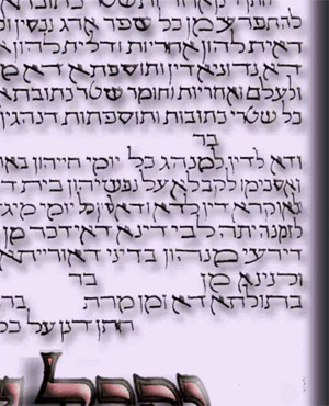 כתובה 13 - הוורד_Text sample